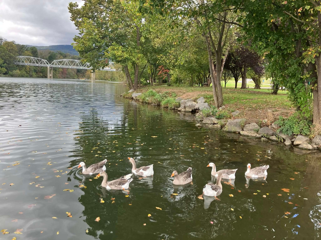 Suburban Studios Verona - Staunton North主图