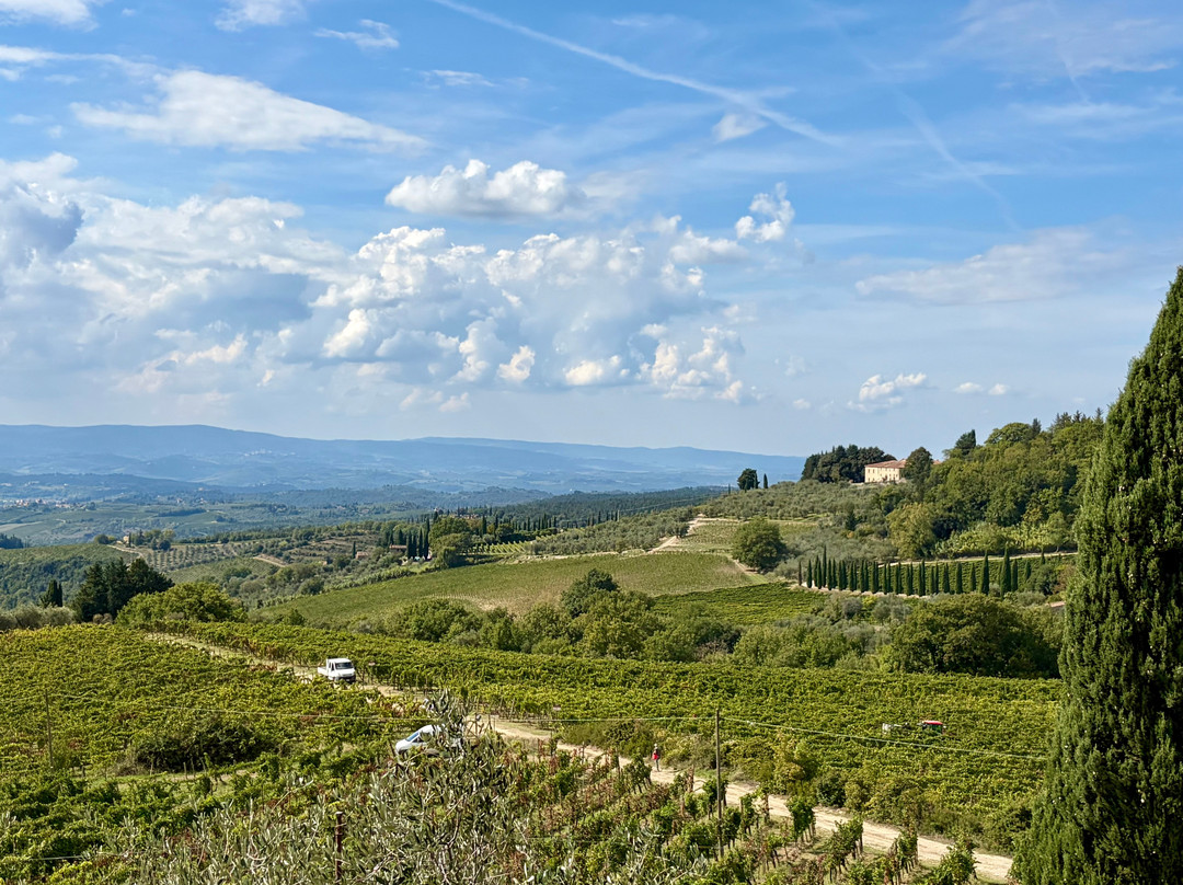 Castellare di Castellina-卡斯特利纳－因基安蒂必去景点