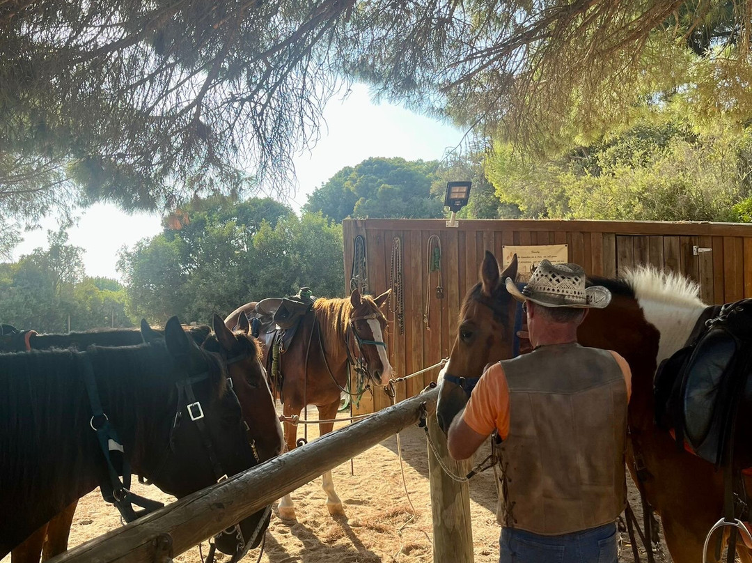 Solid Rocks Algarve Horse Trail Adventures-Porches必去景点