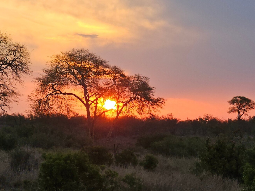 Royal Safaris-库马堤港必去景点