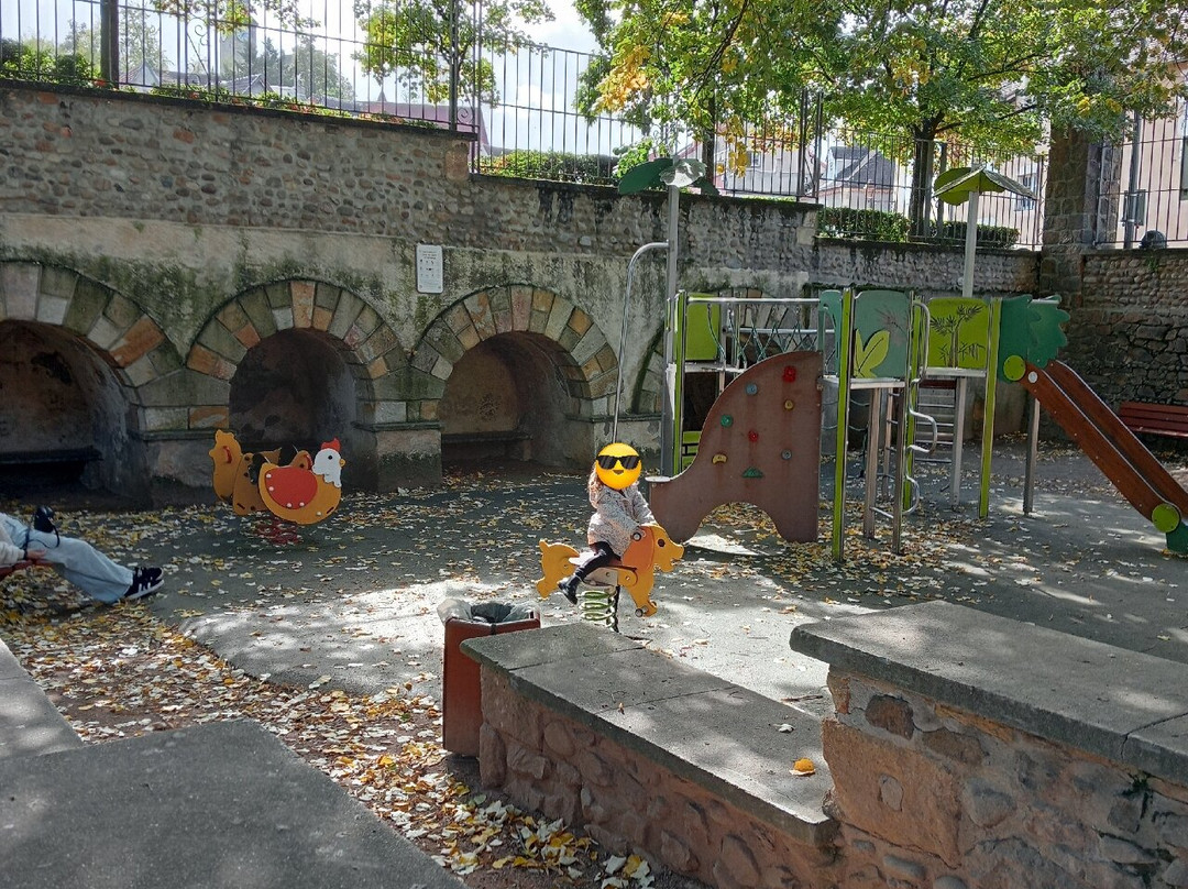 Parc Wilson-蒙吕松必去景点