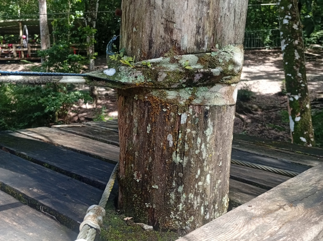 Mangofil Martinique-Trois-Ilets必去景点