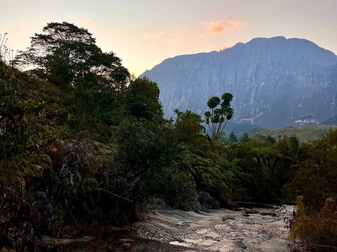 Mulanje Mountain Tour Guide-姆兰杰必去景点