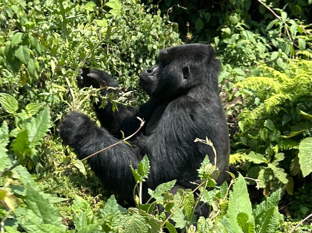 The Infinite Horizon-阿鲁沙必去景点