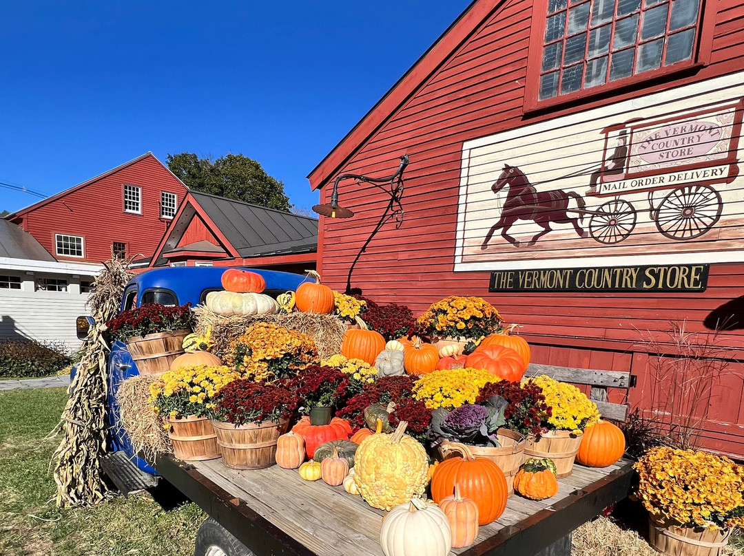 G&M Tours-Campton必去景点