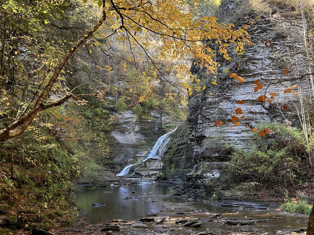 Robert Treman State Park-伊萨卡必去景点