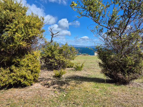 No Worries Tours-特拉维夫必去景点