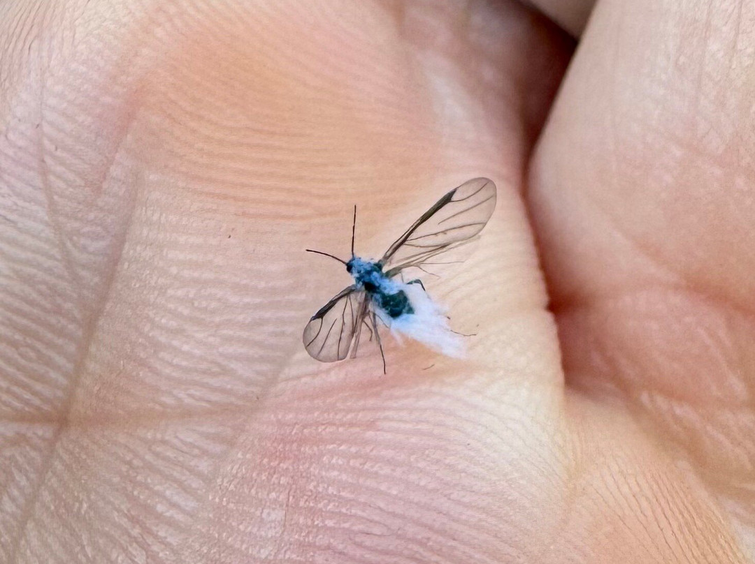 Wilderness State Park-Carp Lake必去景点