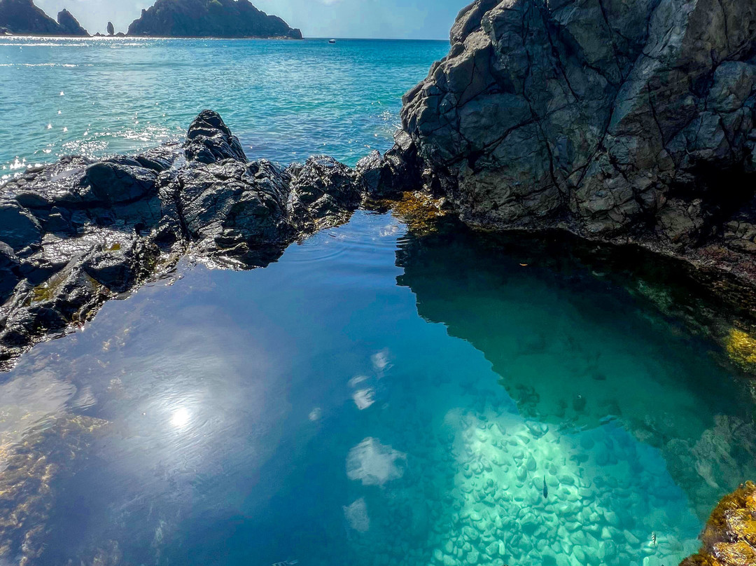 Noronha Tour-费尔南多-迪诺罗尼亚群岛必去景点