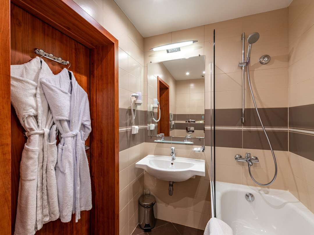 新彼得霍夫酒店主图