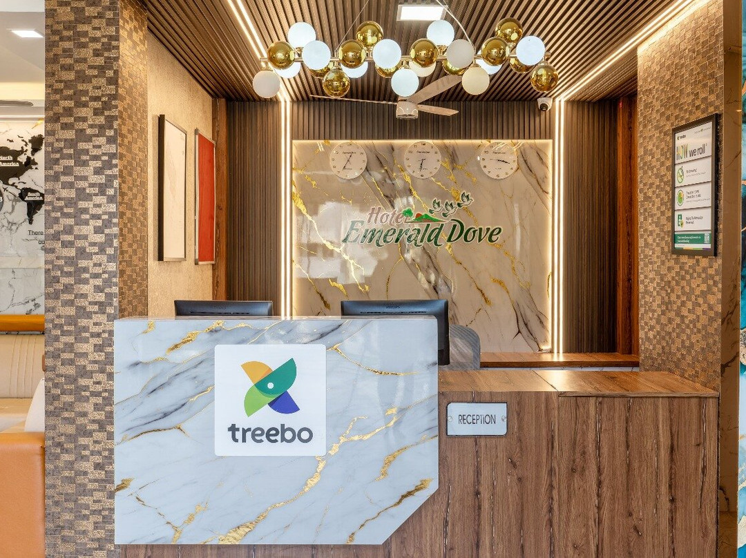 Treebo Premium Emerald Dove主图