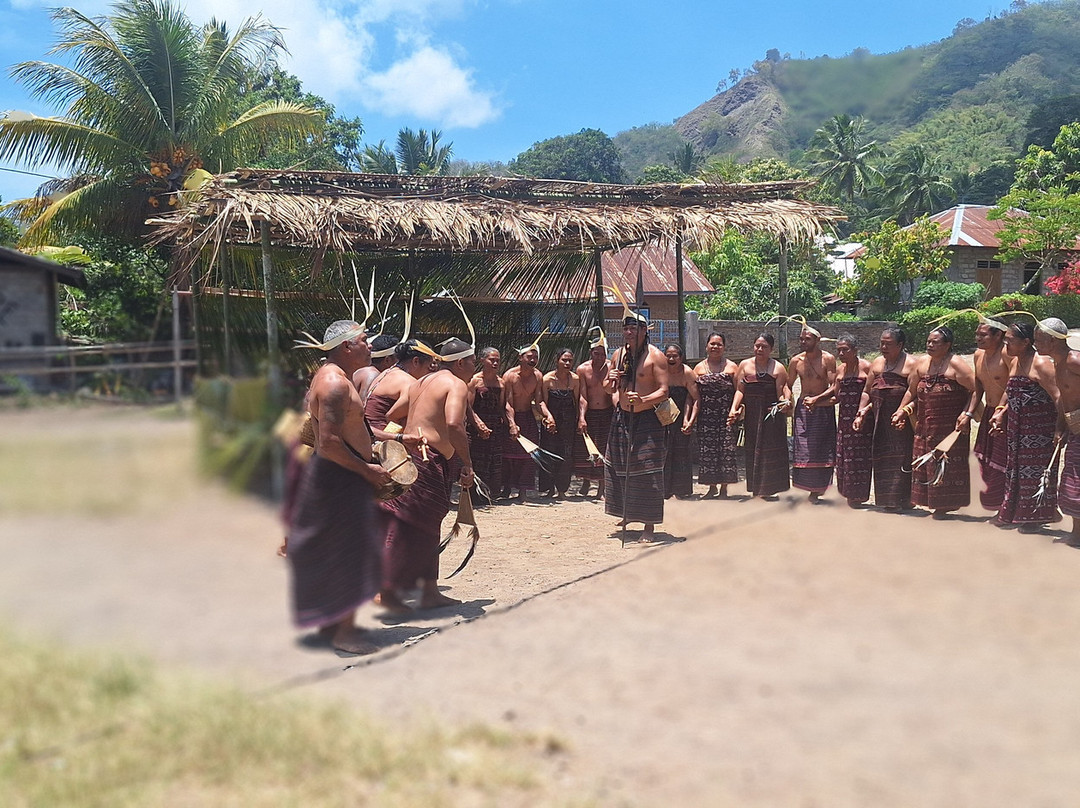 Lamahola festival 1-4 juli 2026-Lewoleba必去景点