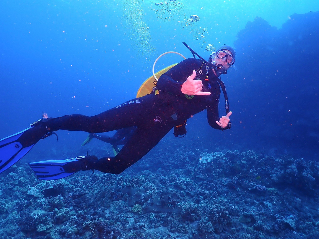 Maui Diamond Sea Sports-玛阿拉也亚必去景点