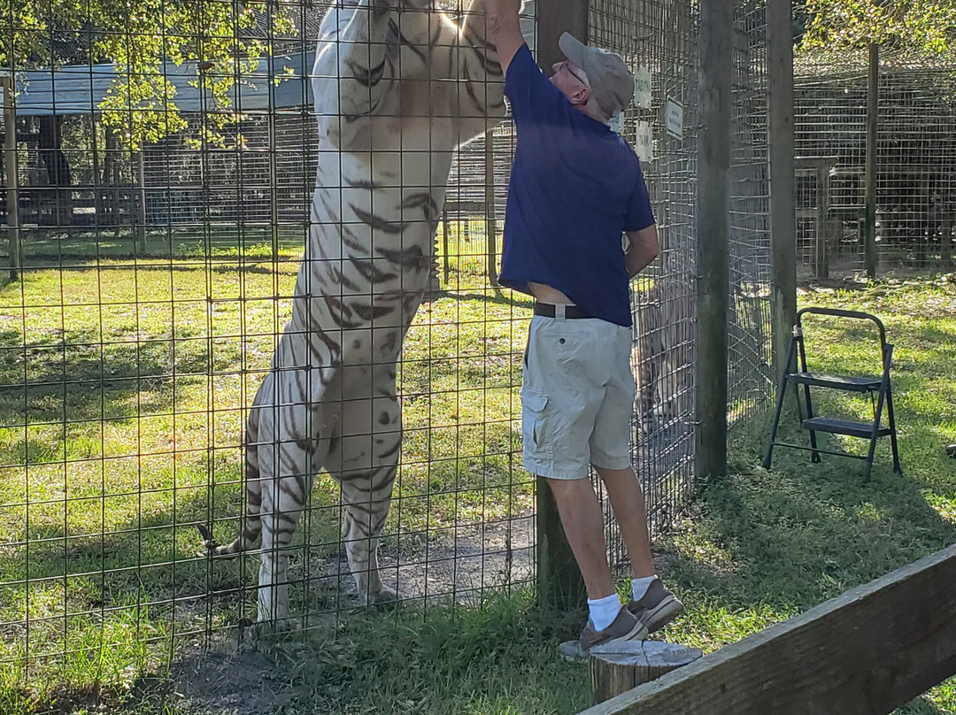 Carson Springs Wildlife Conservation Foundation-盖恩斯维尔必去景点