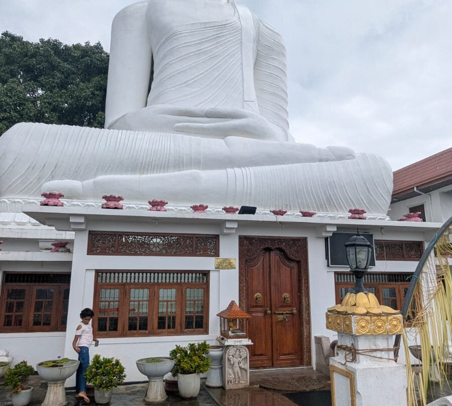 Absolute Lanka Tours-科伦坡必去景点