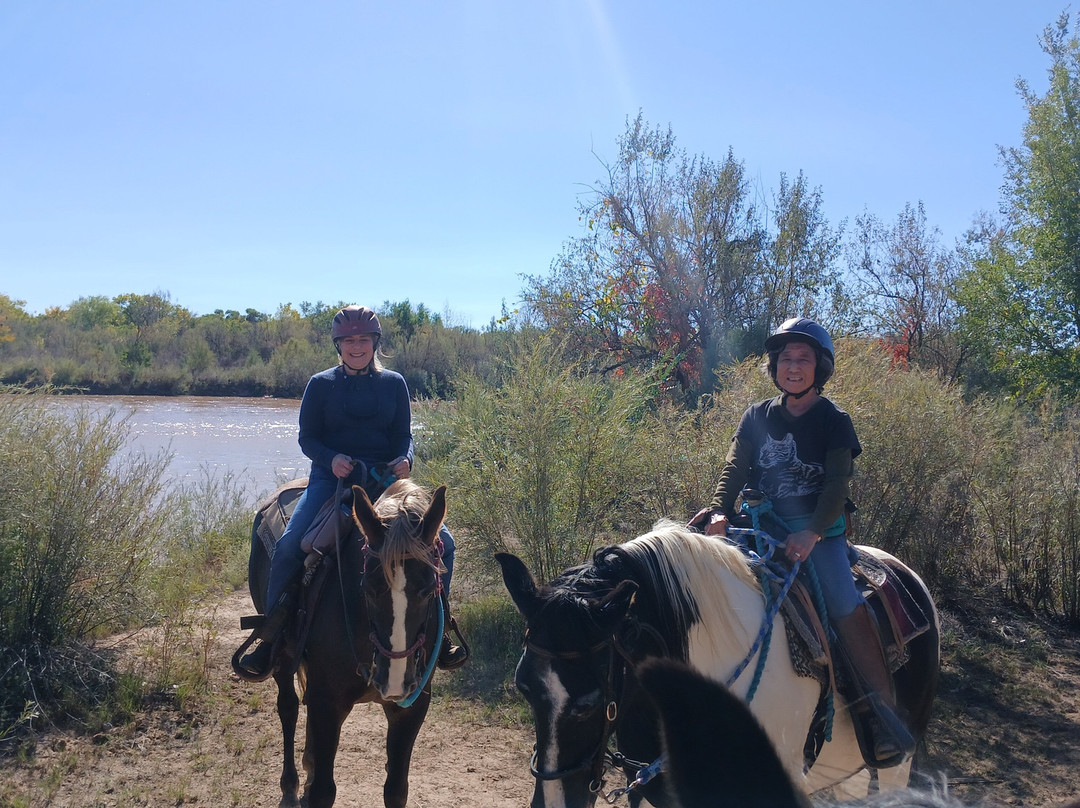 Running Horse Ranch-阿尔伯克基必去景点
