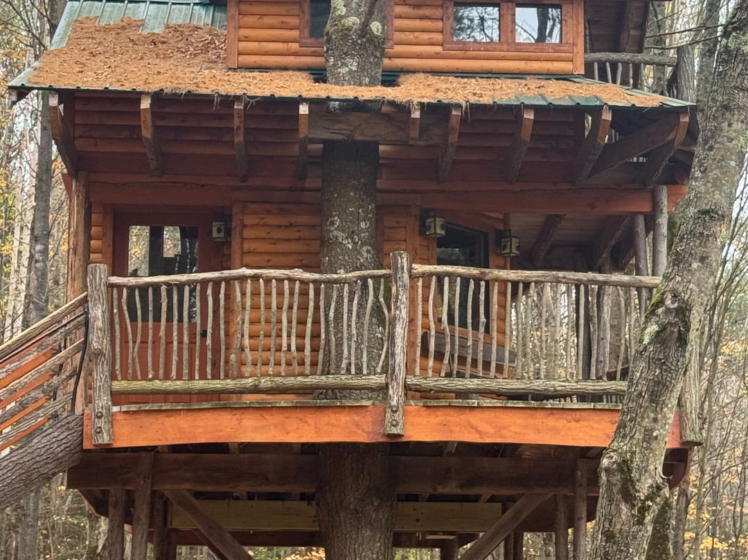 Moose Meadow Lodge & Treehouse主图
