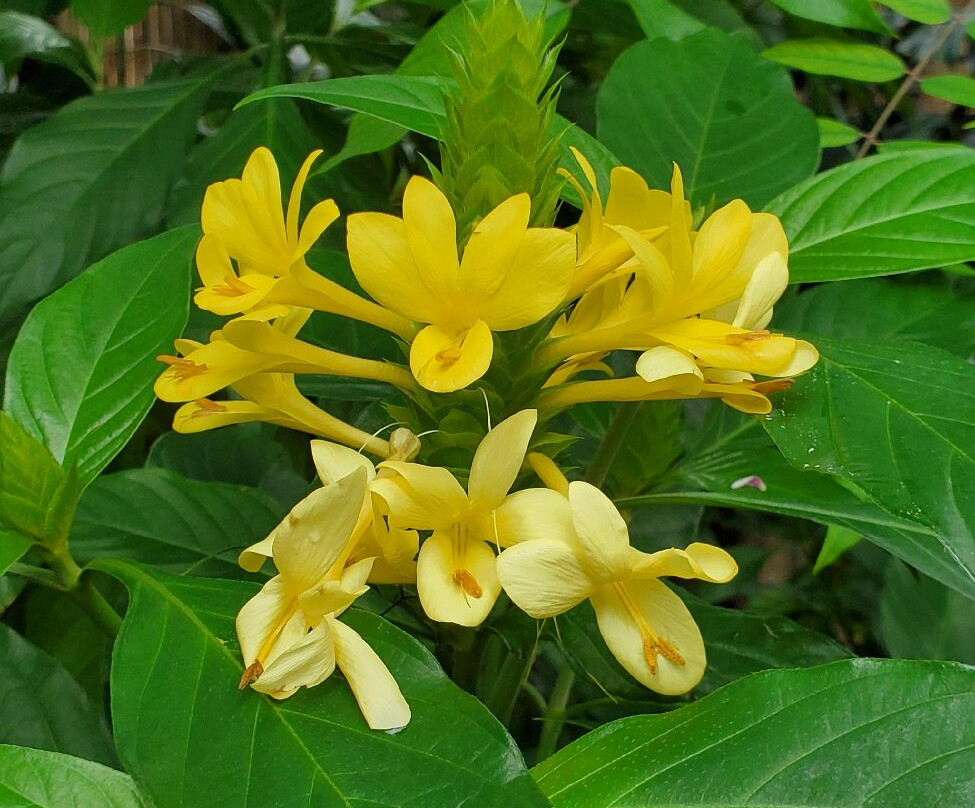 Mitchell Park Horticultural Conservatory (The Domes)-密尔沃基必去景点