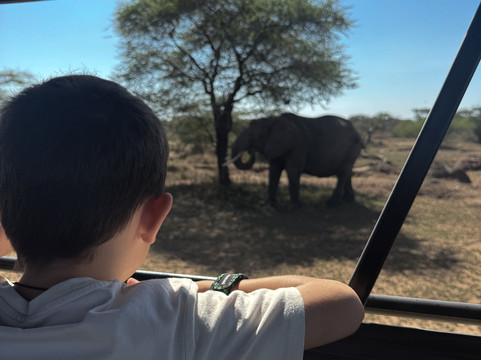 Kway tours and Safari's-桑给巴尔岛必去景点