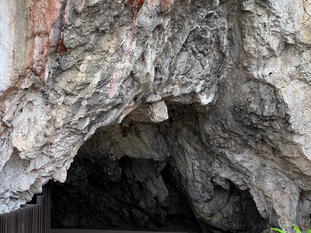 Cueva de Tito Bustillo-里瓦德塞利亚必去景点