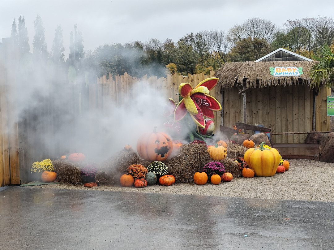 Jungle City-图尔奈必去景点