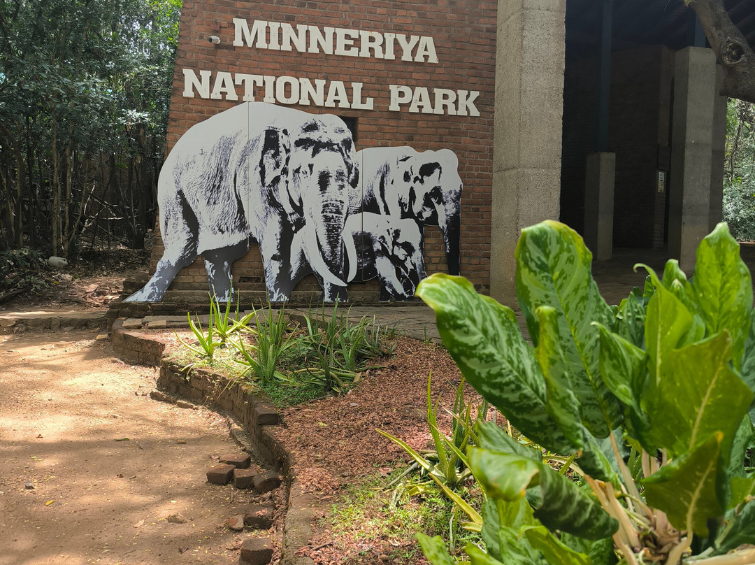 Safari With Asanka-锡吉里亚必去景点