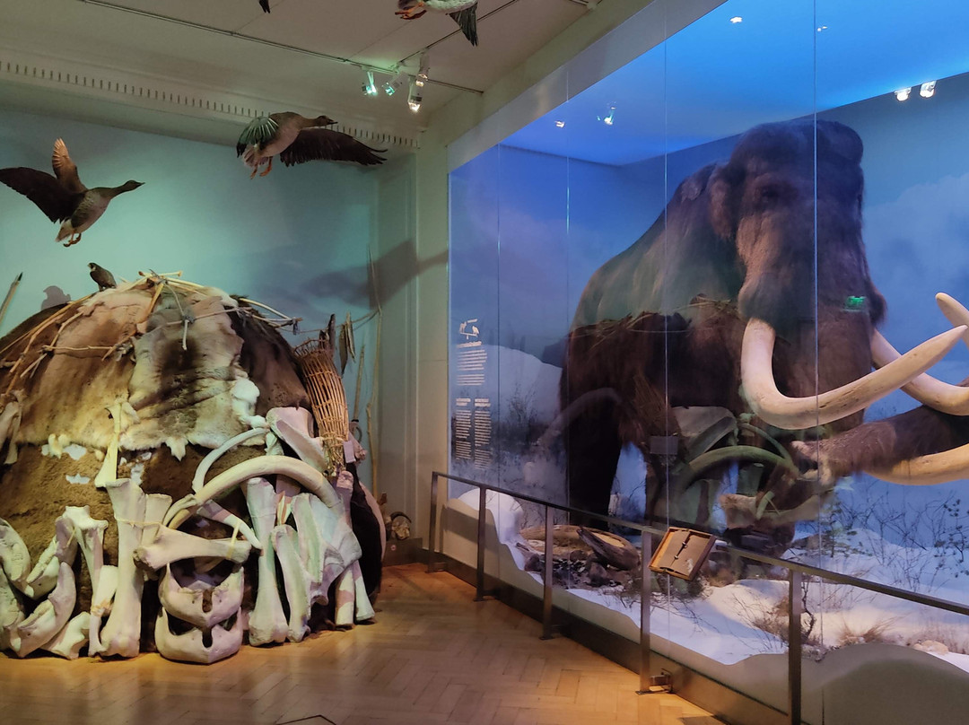 自然历史博物馆-赫尔辛基必去景点