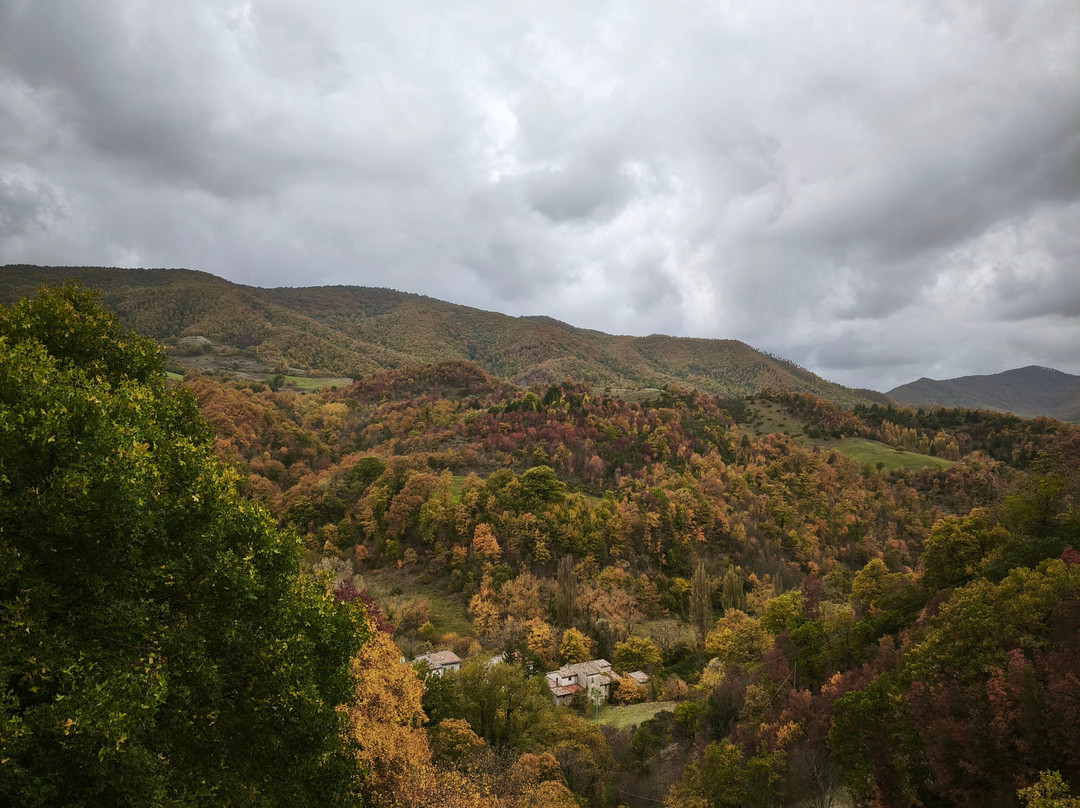 Ecologico Tours & Meravigliosa Umbria-Rivotorto必去景点
