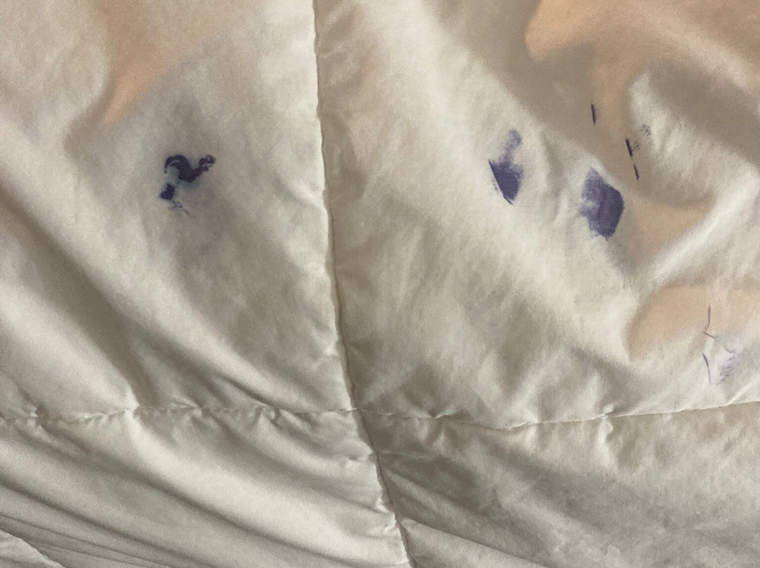 Microtel Inn & Suites by Wyndham Beckley East主图