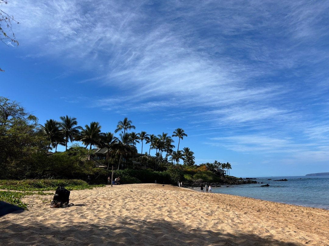 Palauea Beach-维雷亚必去景点