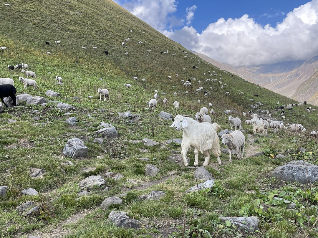 Himalaya Shelter-阿姆利则必去景点