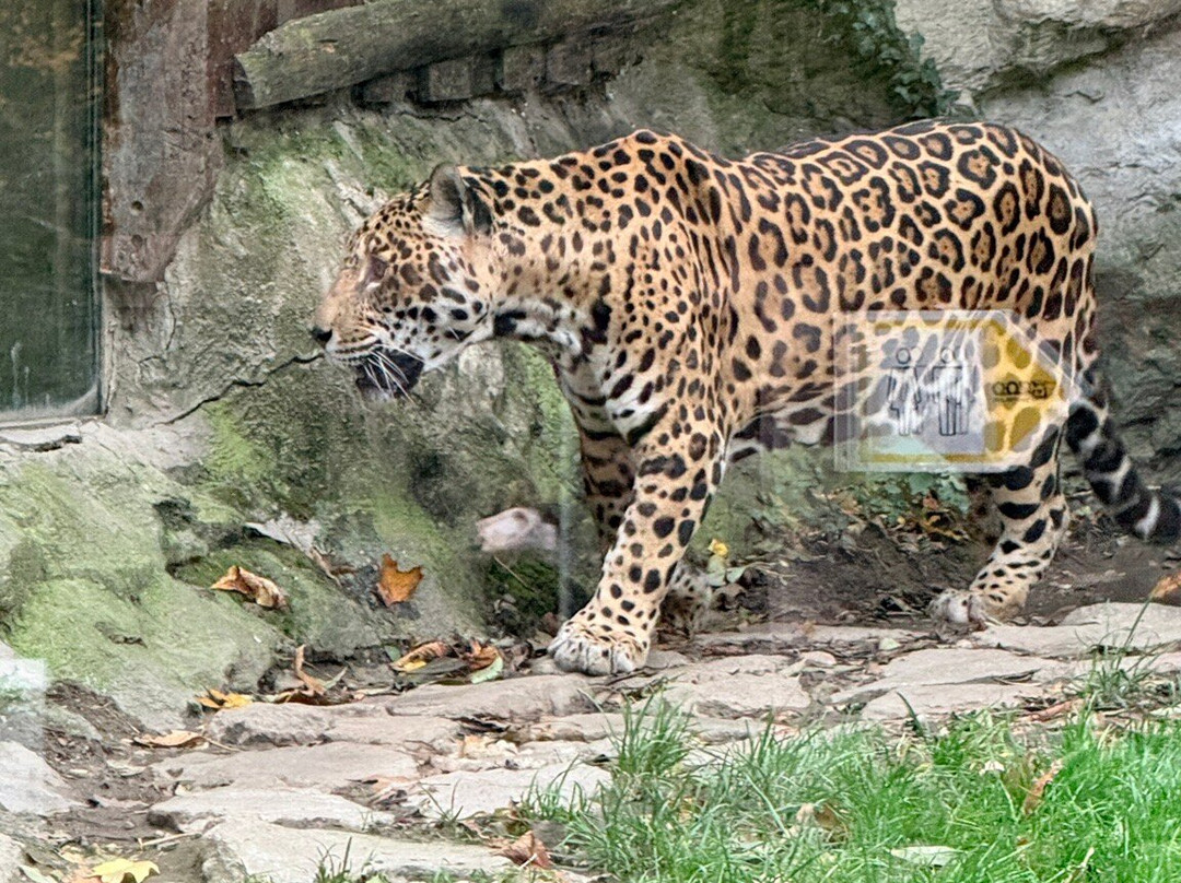 ZOO Bratislava-布拉迪斯拉发必去景点