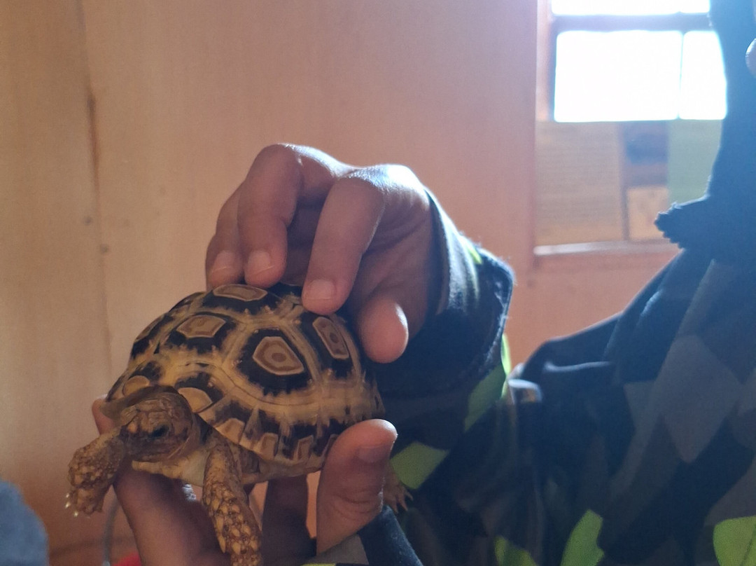 Stokoe Farms-Scottsville必去景点