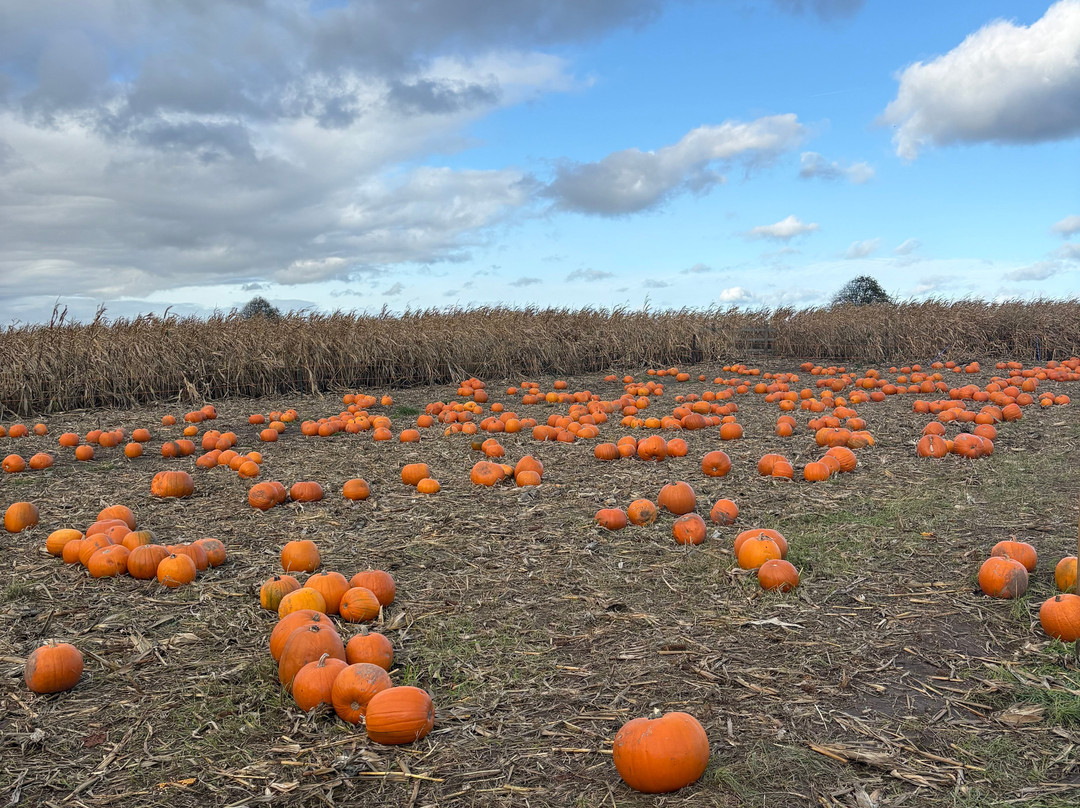 Wheelock Hall Farm-Sandbach必去景点