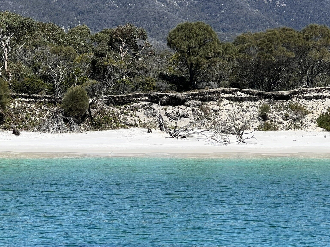 Wineglass Bay-科尔斯湾必去景点