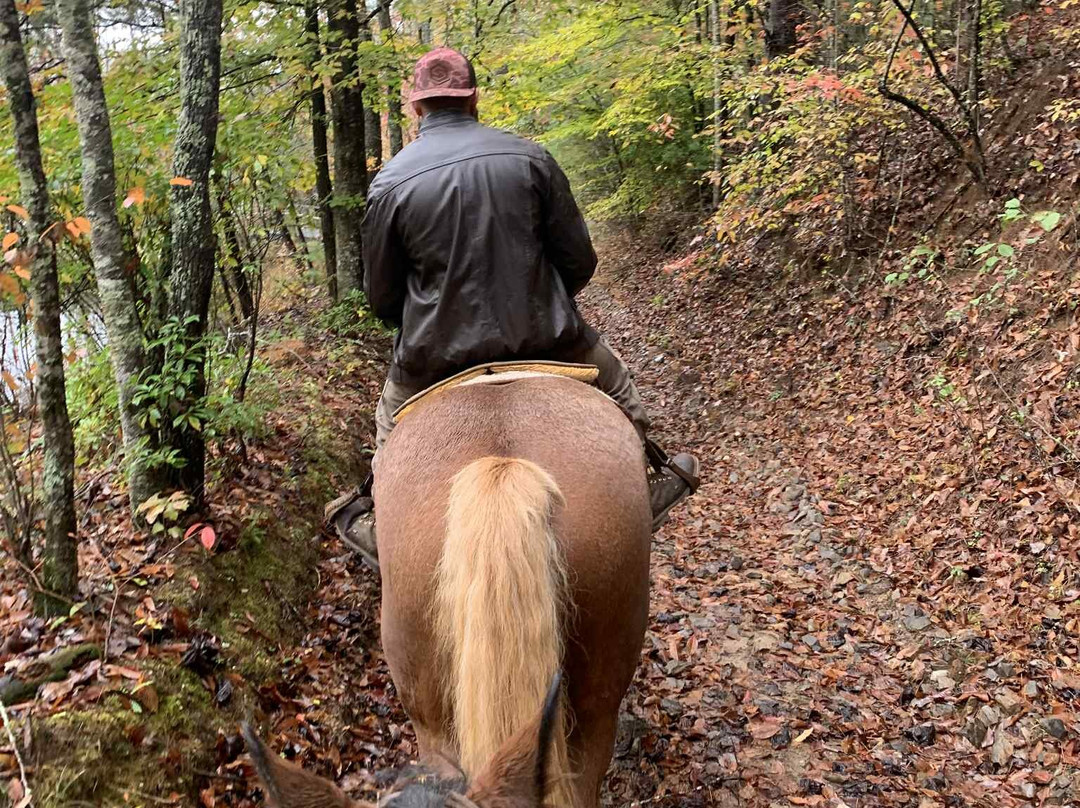 Appalachian Trail Rides-Mineral Bluff必去景点
