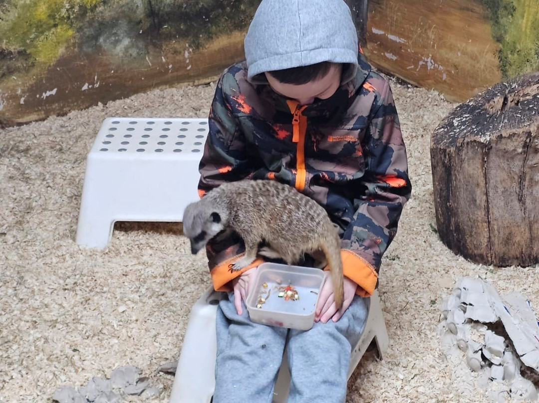 The Animal Experience-Stretham必去景点