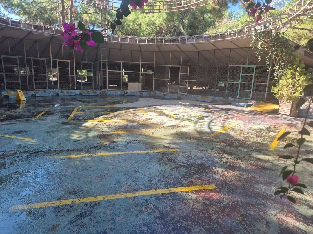 Dinopark-Goynuk必去景点