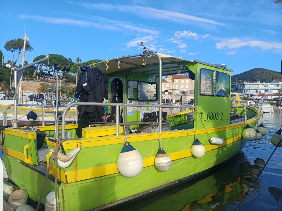 O2 Plongée-Carqueiranne必去景点