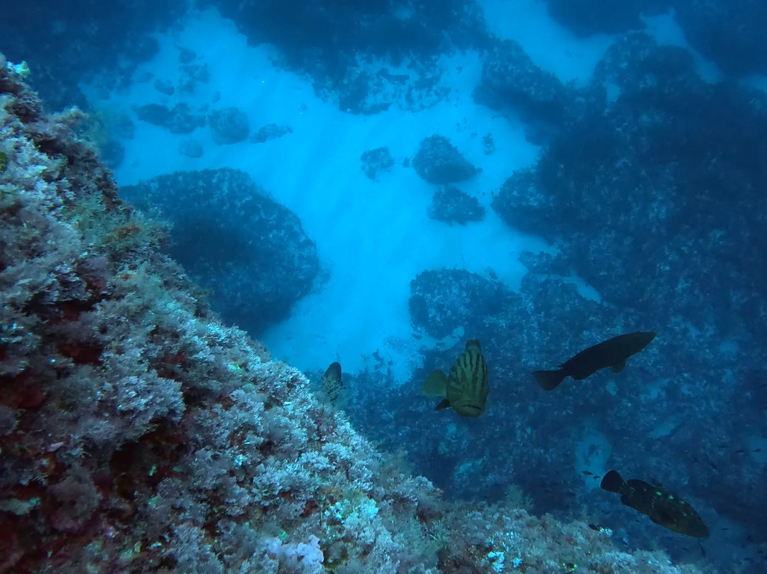 Diving Menorca-米诺卡必去景点