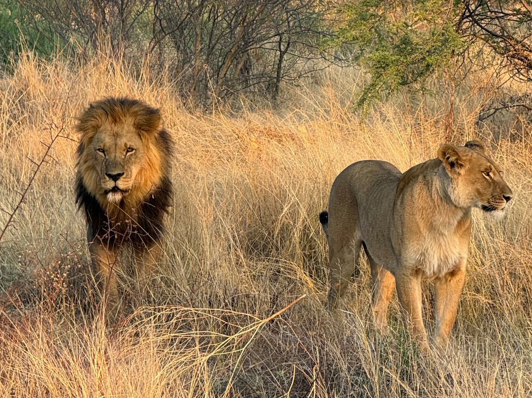 Africa Explore Safaris-开普敦必去景点