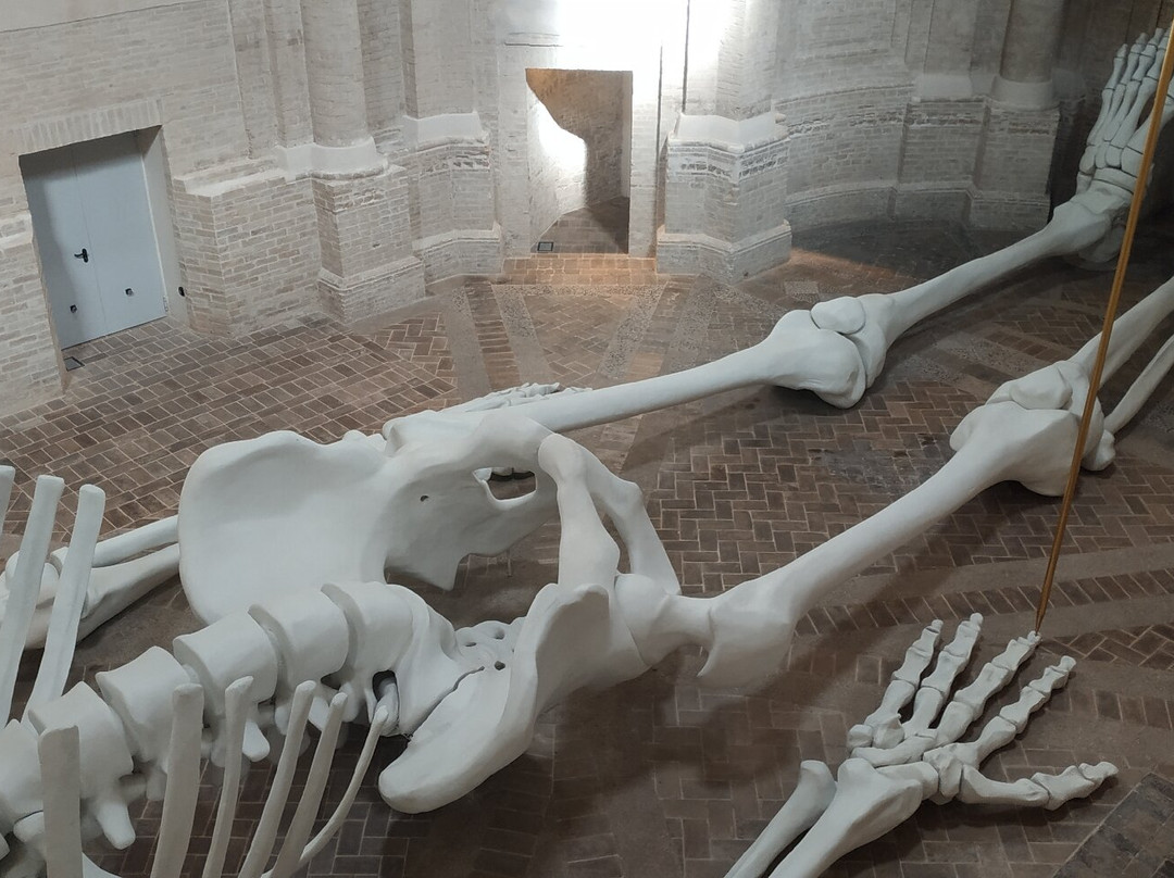 Calamita Cosmica - Centro Italiano Arte Contemporanea-福利尼奥必去景点