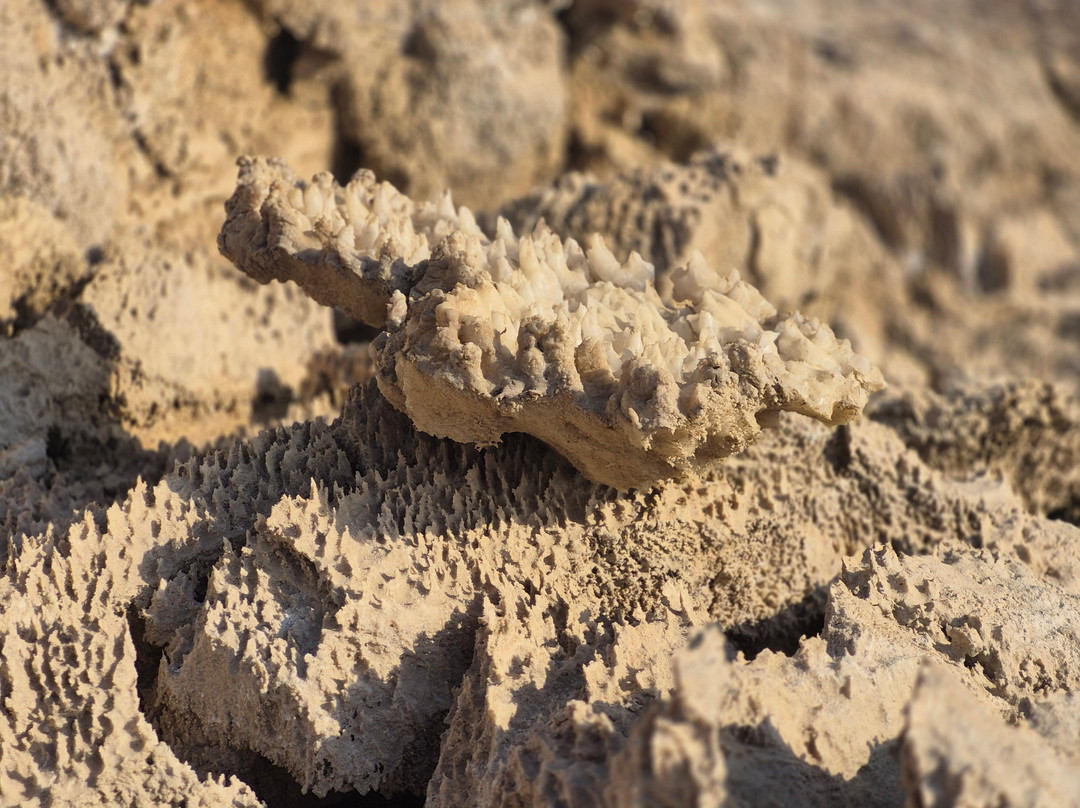 Tiyoolim & Etgarim-Bat Yam必去景点