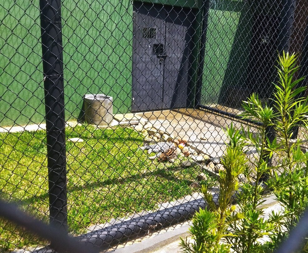 Zoológico Municipal de Curitiba-库里提巴必去景点