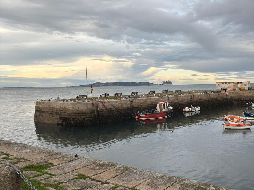 Bulloch Harbour-达尔基必去景点