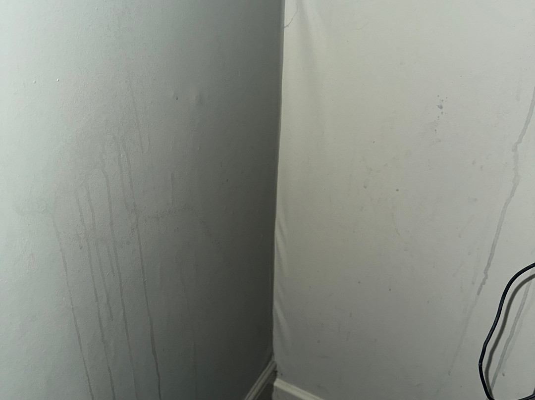 The Queens Head主图