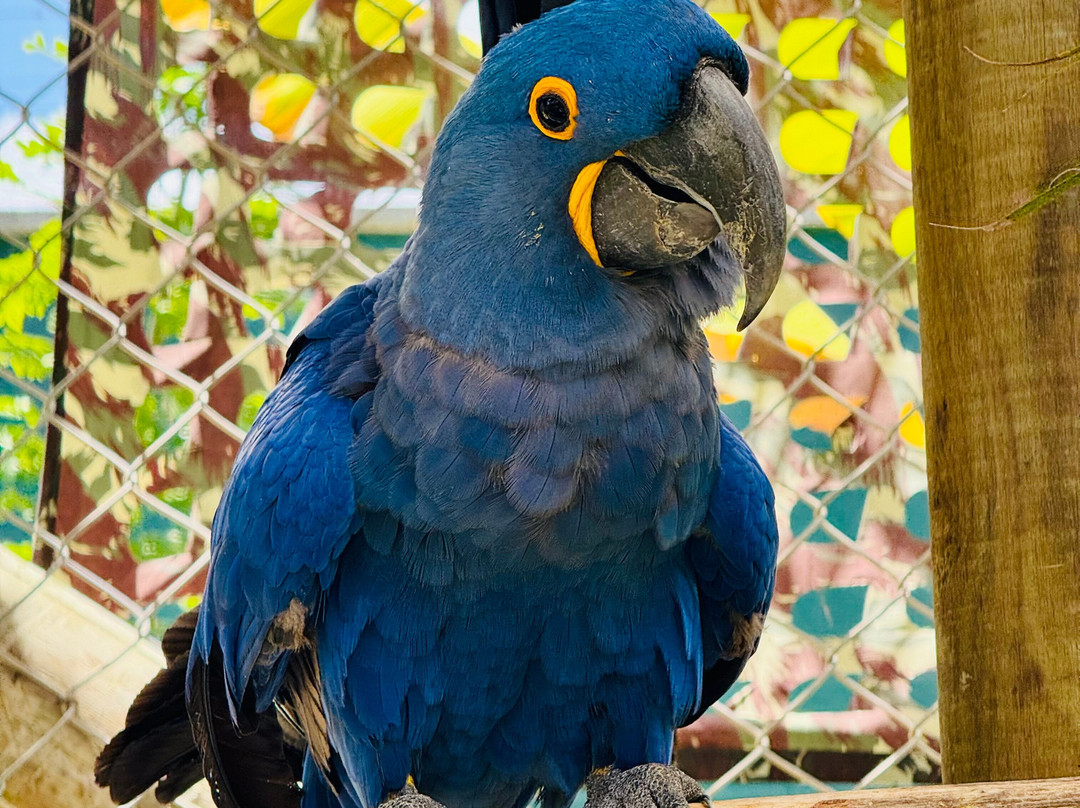 Parque Arvorar-Aquiraz必去景点