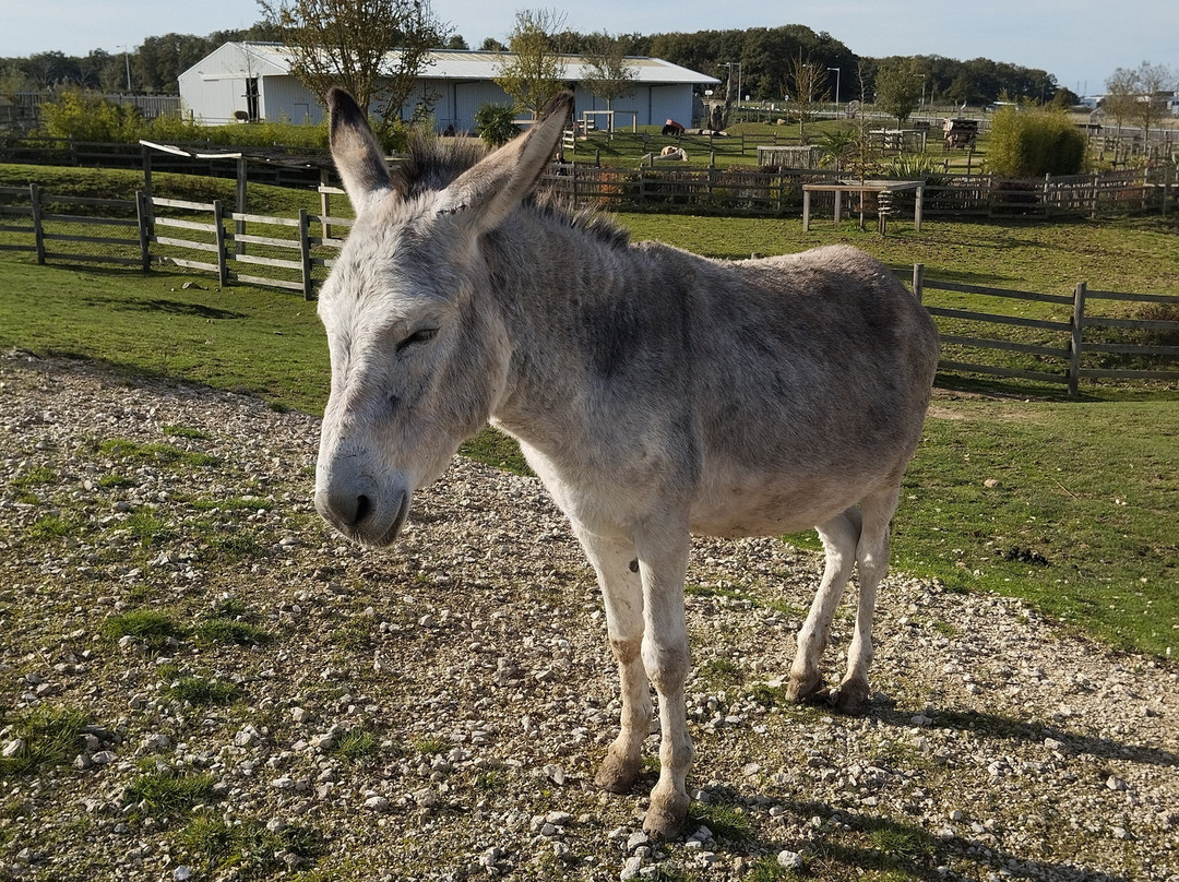 La Tanière - Zoo Refuge-Nogent-le-Phaye必去景点