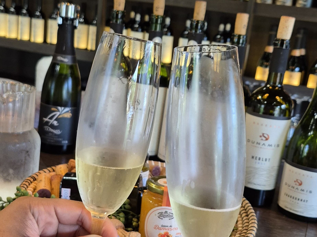 Loja - Dunamis Vinhos & Vinhedos-格拉玛多必去景点