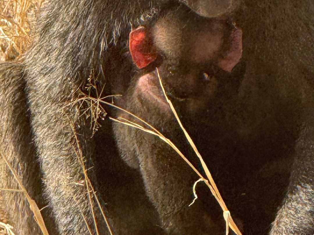 Jemu Expeditions-南由基必去景点